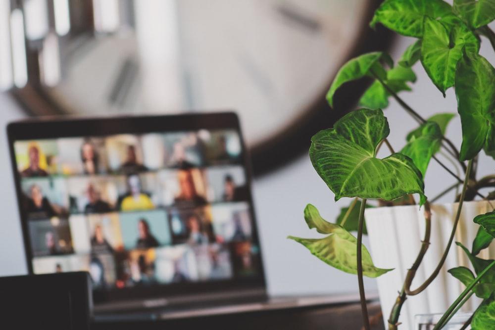 Foto de Sigmund por Unsplash