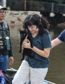 moradora de canoas foi salva das enchentes com o gato