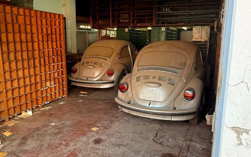 Comercial Gaúcha: Carros zerados como Fusca e Quantum partem rumo ao outro lado do oceano; descubra a história que parece roteiro de filme