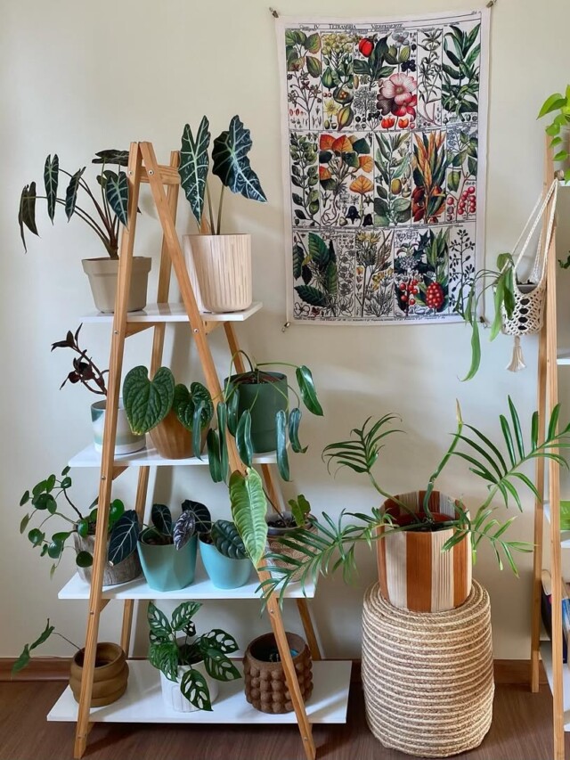 Jardim vertical: como trazer natureza para espa&ccedil;os pequenos da casa