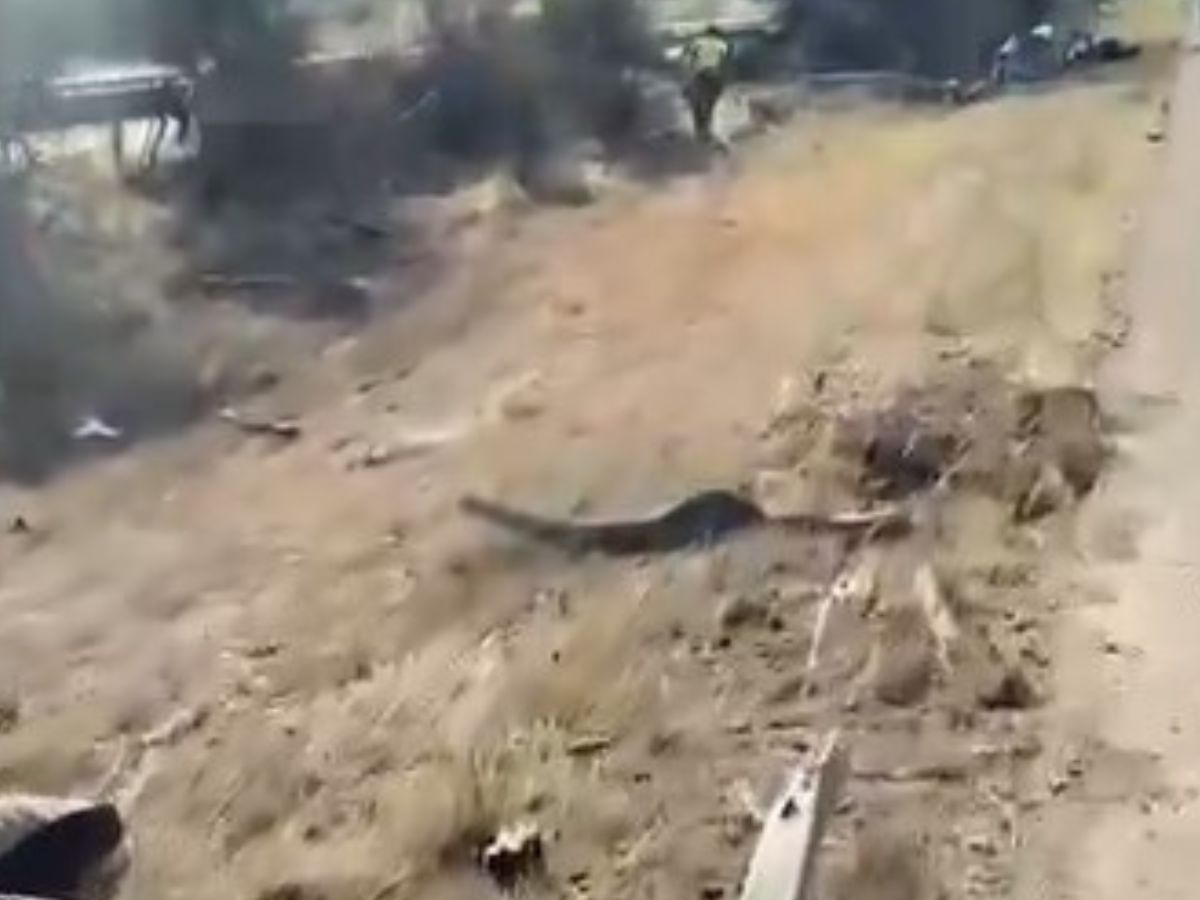 VÍDEO: Veja como ficou o carro de Diogo Jota após acidente fatal