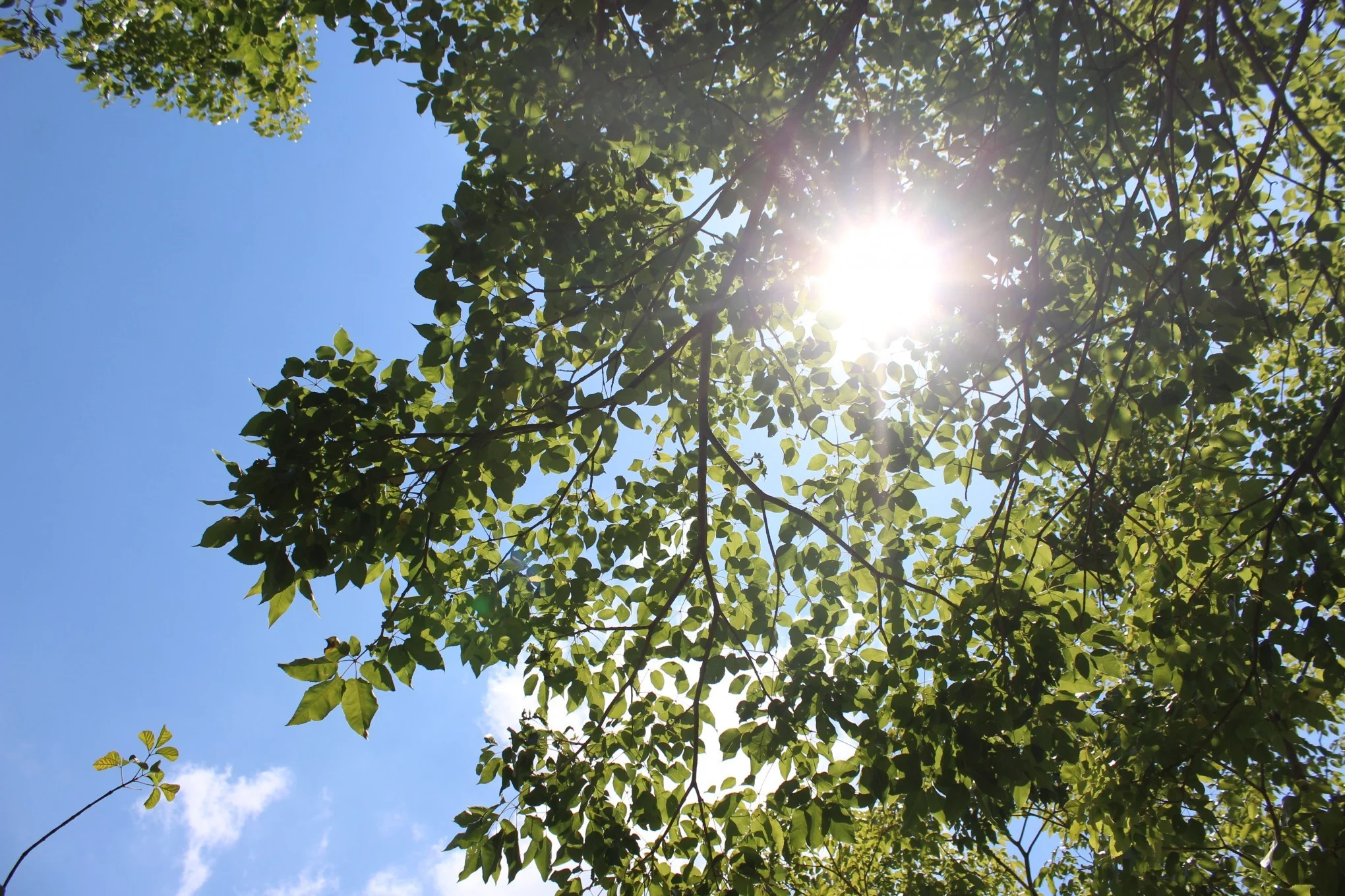 Sol predomina nos próximos dias