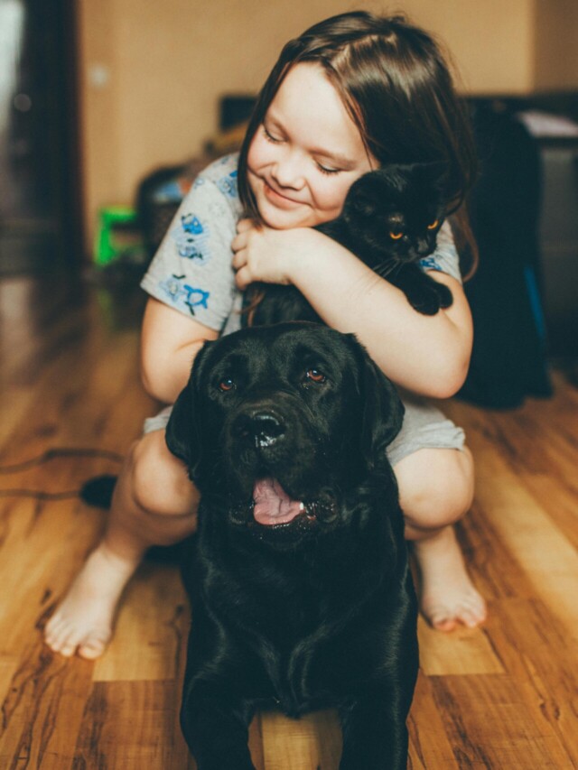 Psicologia explica: O que seu pet revela sobre a sua vis&atilde;o de mundo