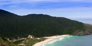 Imagem: 	
Paulo Cameli/Wikimedia Commons