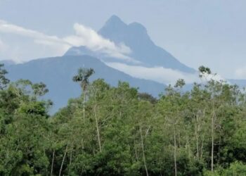 Imagem: Ramilla Rodrigues/ icmbio.gov.br