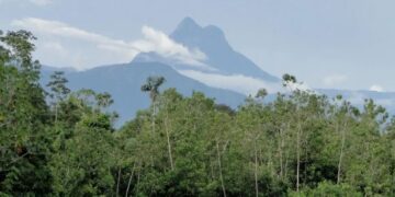 Imagem: Ramilla Rodrigues/ icmbio.gov.br