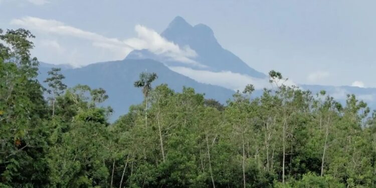 Imagem: Ramilla Rodrigues/ icmbio.gov.br