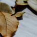 Foto: Buse Doğa Ay / Pexels