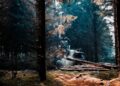 Foto: Nicklas Toft / Pexels