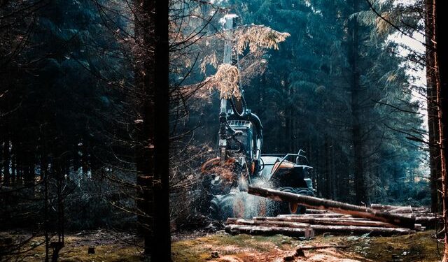 Foto: Nicklas Toft / Pexels