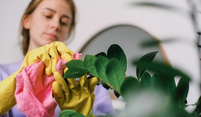 Foto: SHVETS production / Pexels