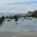 Uma das áreas costeiras de Nauru. 

Foto: d-online / Wikimedia Commons